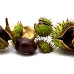 Dadar Beredar Cabang Jati Asih: Kombinasi Rasa yang Sempurna