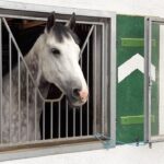 Kenikmatan Dadar Beredar Cabang Jati Asih dalam Setiap Suapan