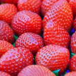 menjelajahi menu spesial di outlet dadar beredar jati asih