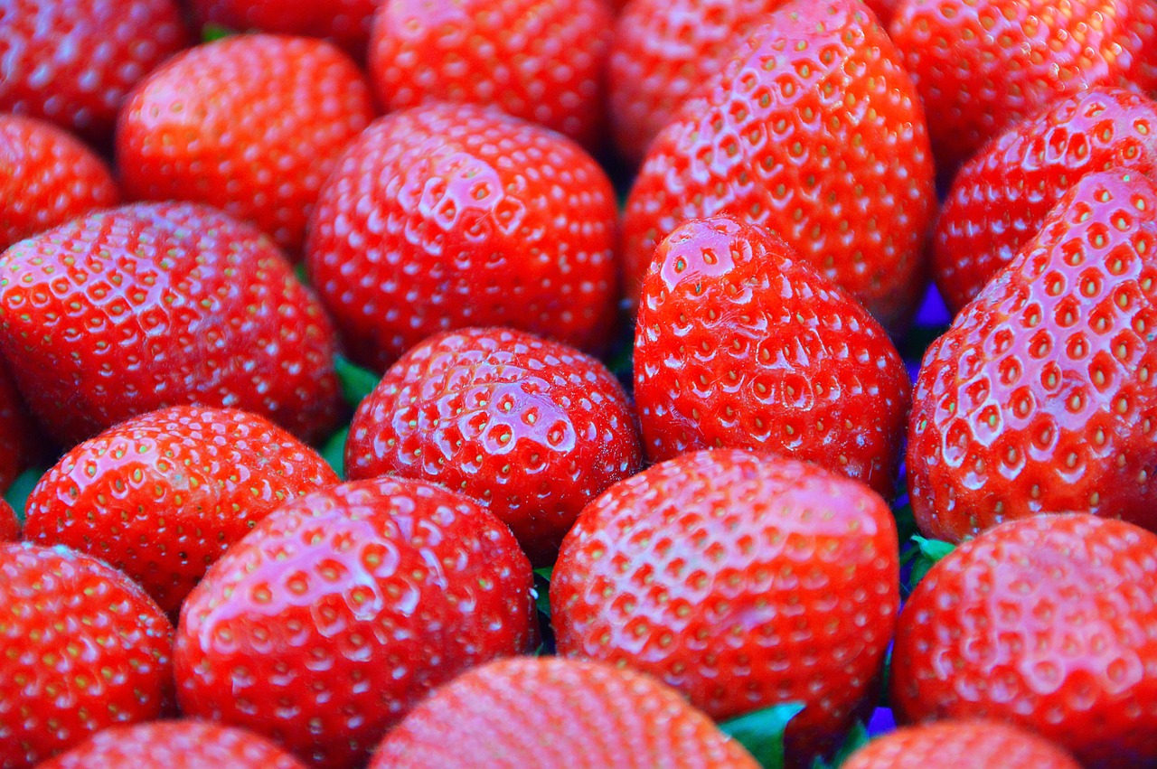 menjelajahi menu spesial di outlet dadar beredar jati asih