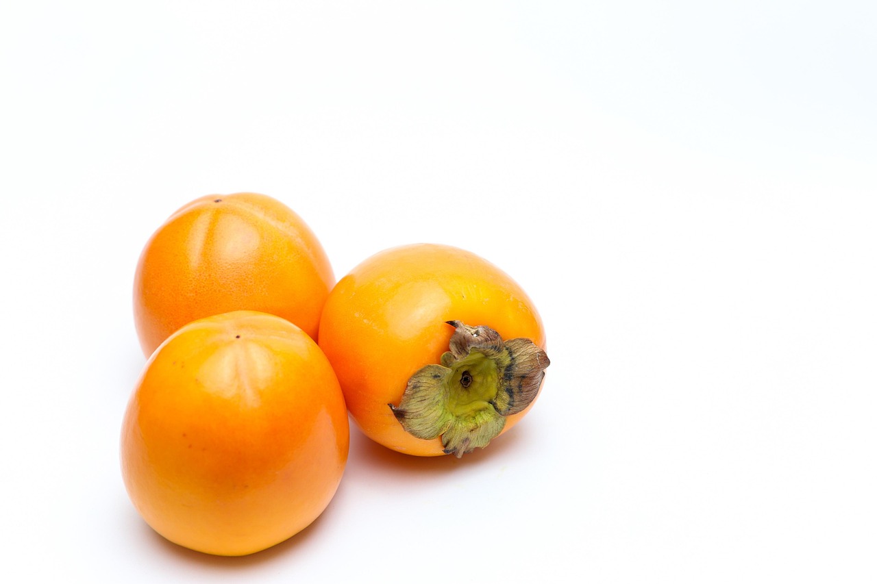 pengalaman kuliner di outlet dadar beredar jati asih